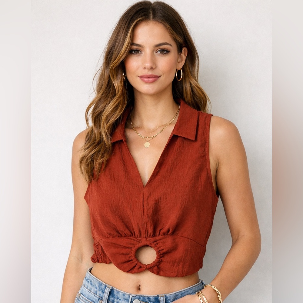 Sage The Label Burnt Orange Keyhole Crop Top NWT Collared Smocked Back Small